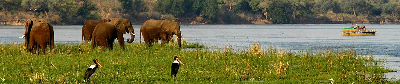 Effortless Lower Zambezi